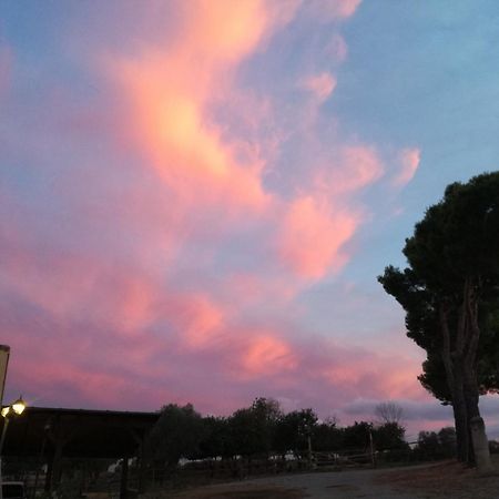Vila Agriturismo Fontelisa Montiano  Exteriér fotografie