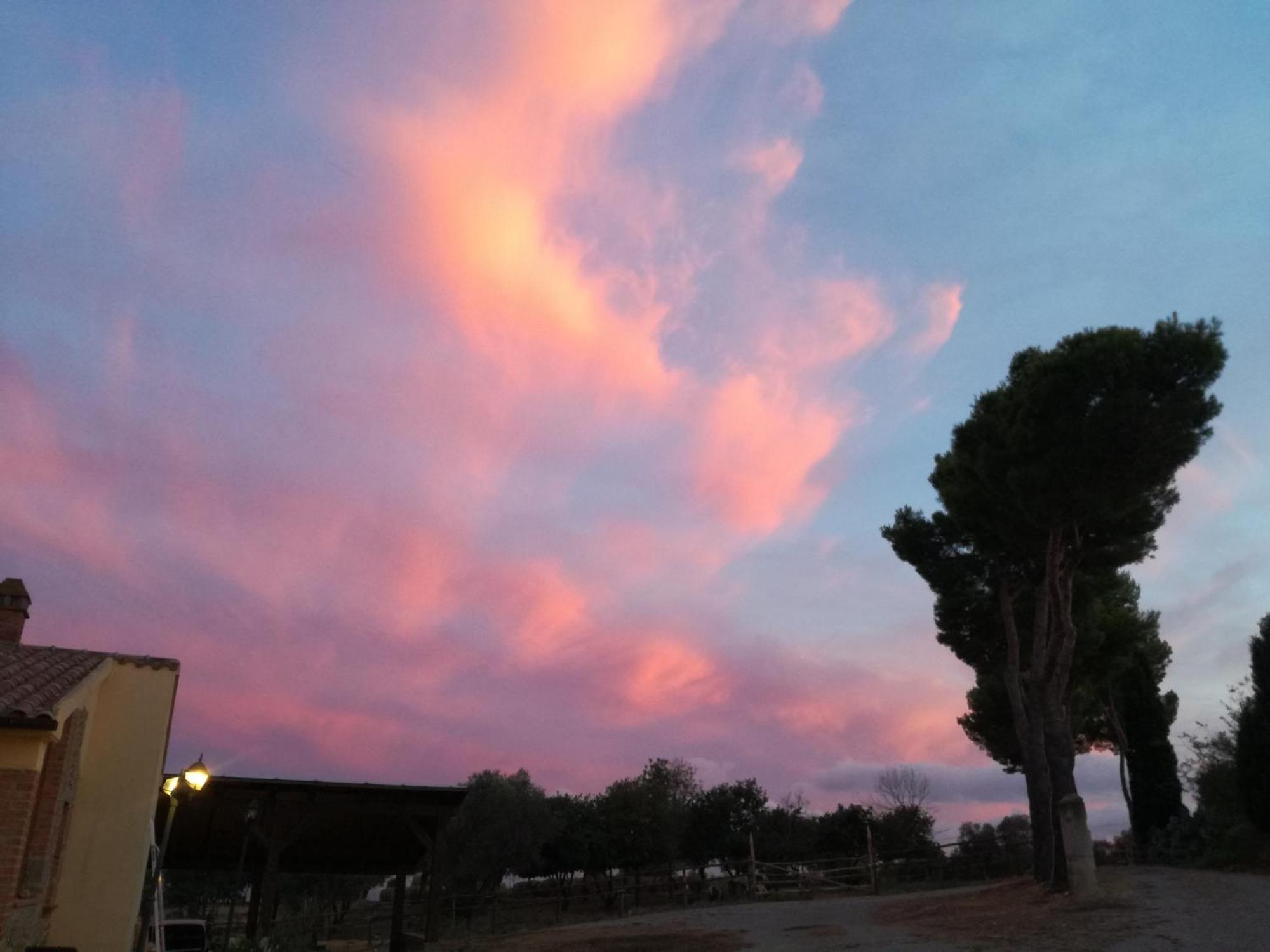 Vila Agriturismo Fontelisa Montiano  Exteriér fotografie